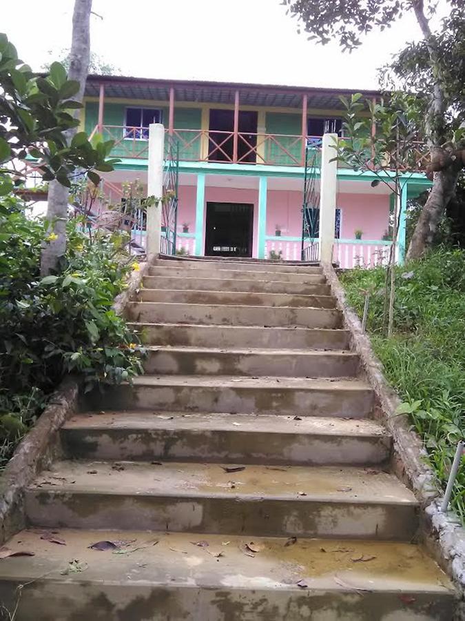 Green Palace Tea Resort 斯里曼加尔乌帕齐拉 外观 照片