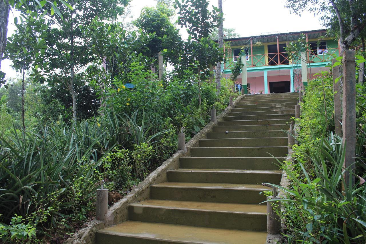 Green Palace Tea Resort 斯里曼加尔乌帕齐拉 外观 照片