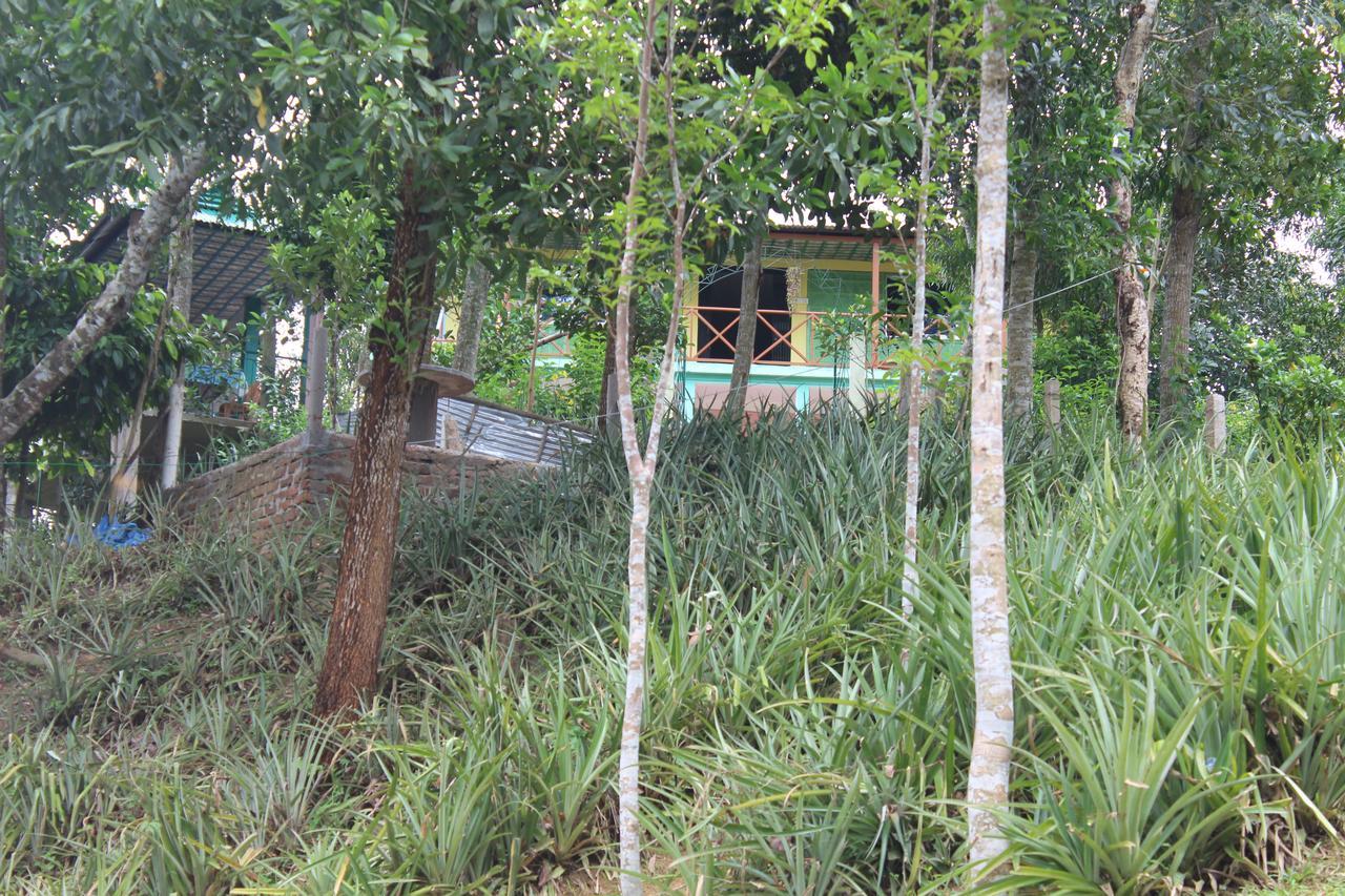 Green Palace Tea Resort 斯里曼加尔乌帕齐拉 外观 照片