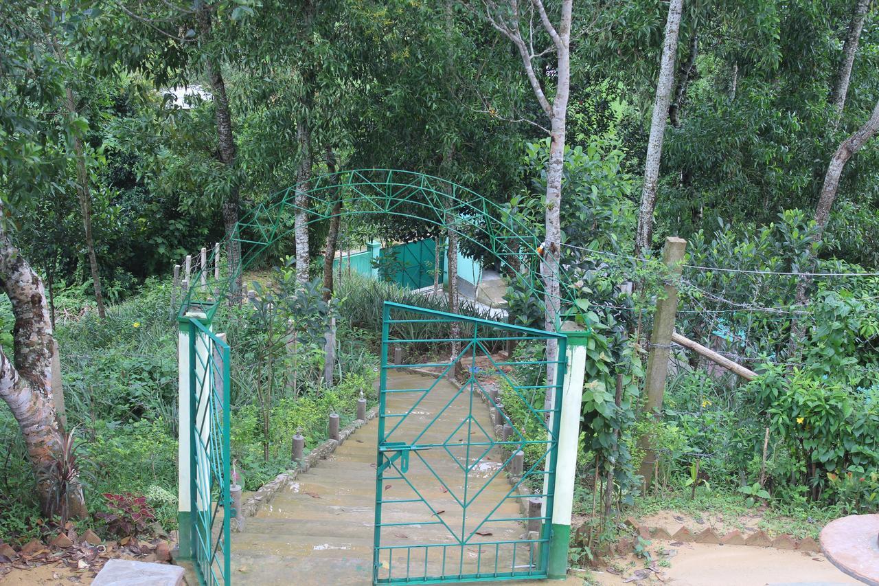 Green Palace Tea Resort 斯里曼加尔乌帕齐拉 外观 照片