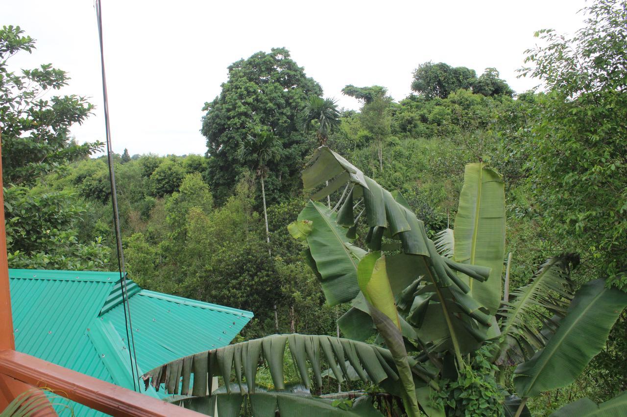 Green Palace Tea Resort 斯里曼加尔乌帕齐拉 外观 照片